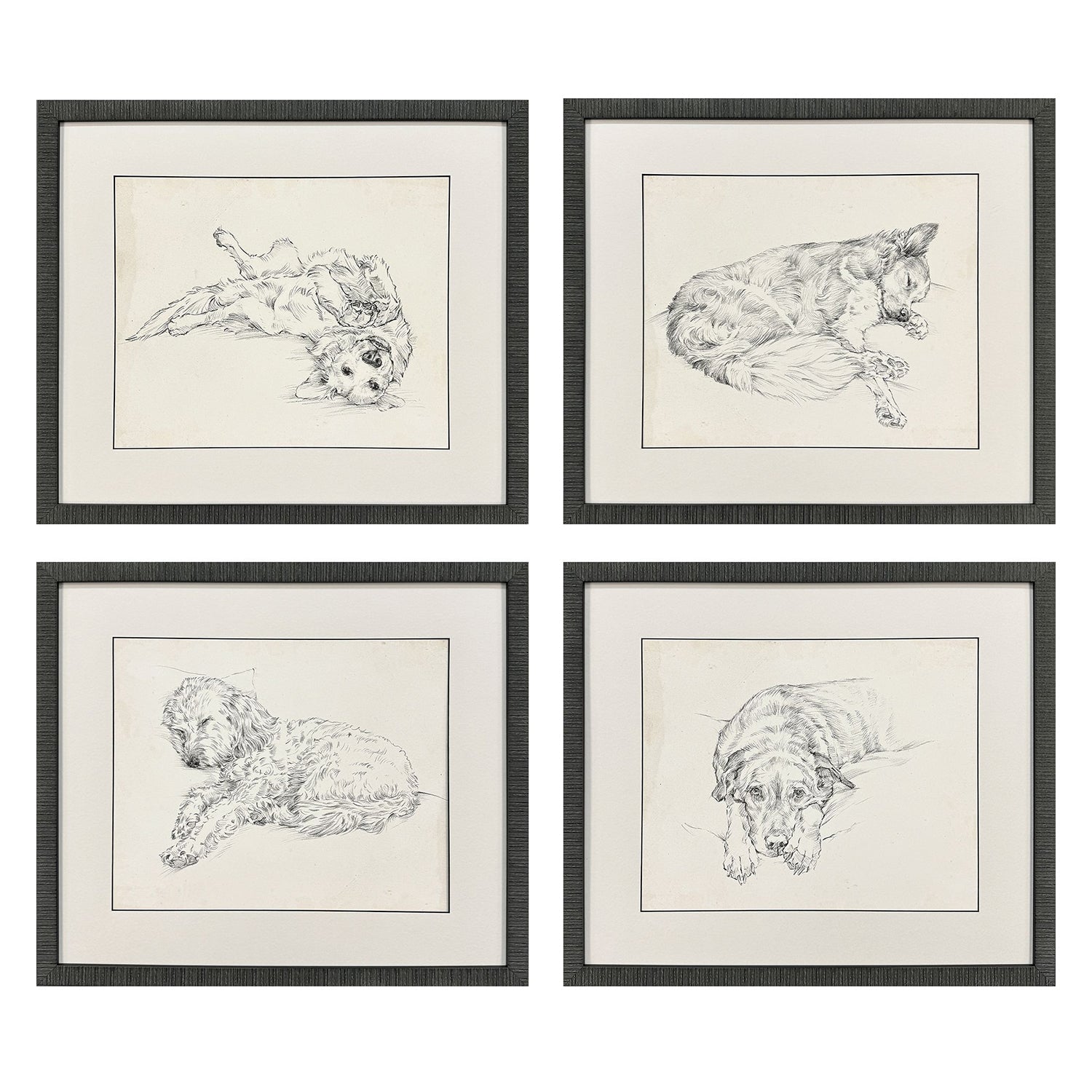 Harper Antique Dog Sketch Framed Artwork Set of 4