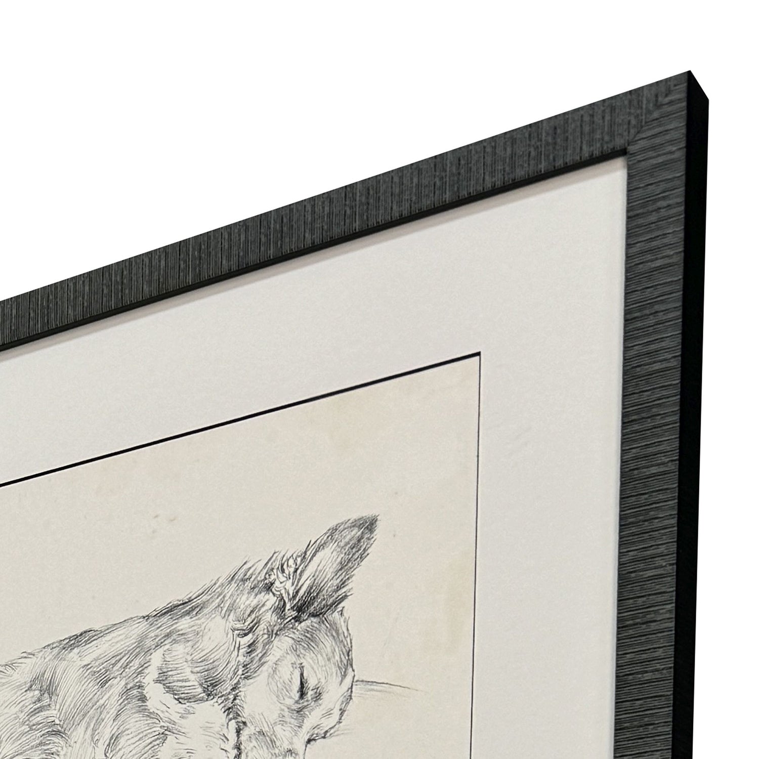 Harper Antique Dog Sketch Framed Artwork Set of 4