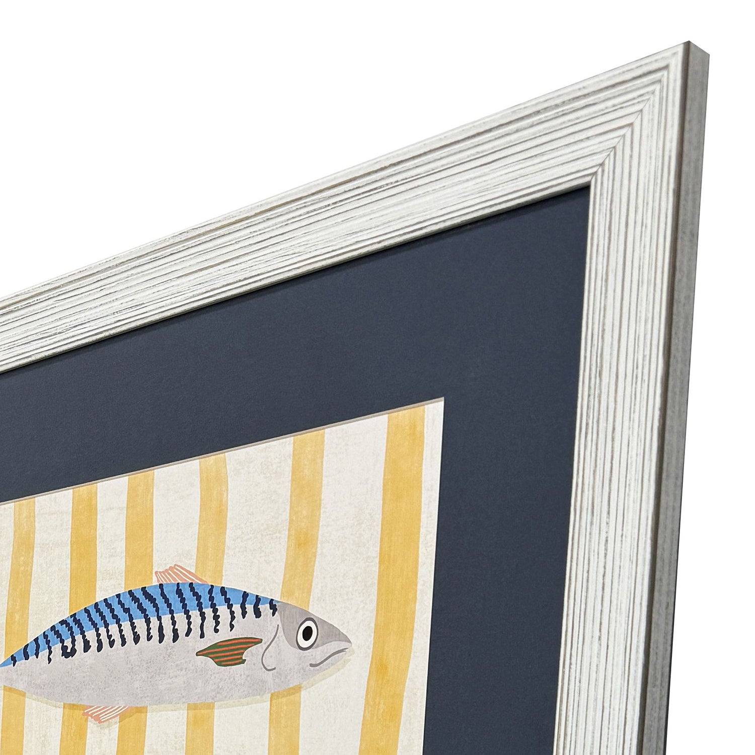 Vero Little Fish Framed Artwork Set of 2