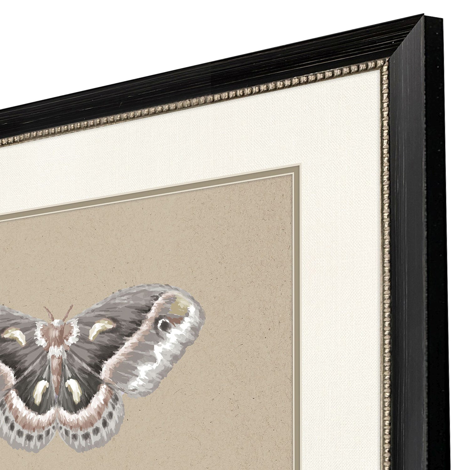Sarah Lang Beauty of the Forest Framed Art Set of 2