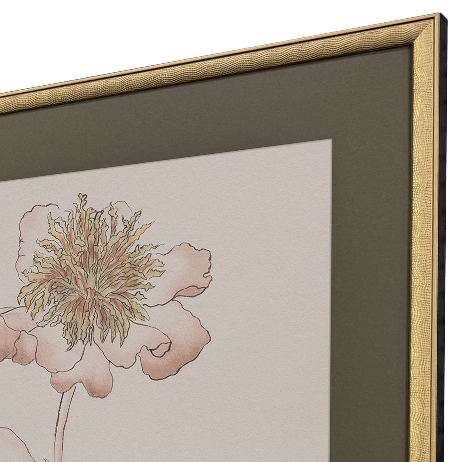 Sarah Lang Delicate Sketch I Framed Art Set of 2