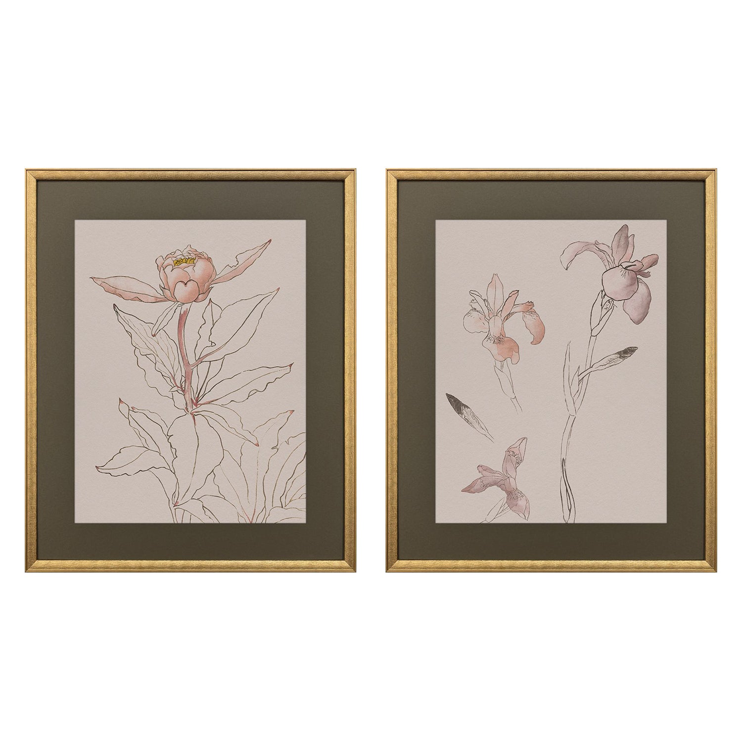 Sarah Lang Delicate Sketch II Framed Art Set of 2