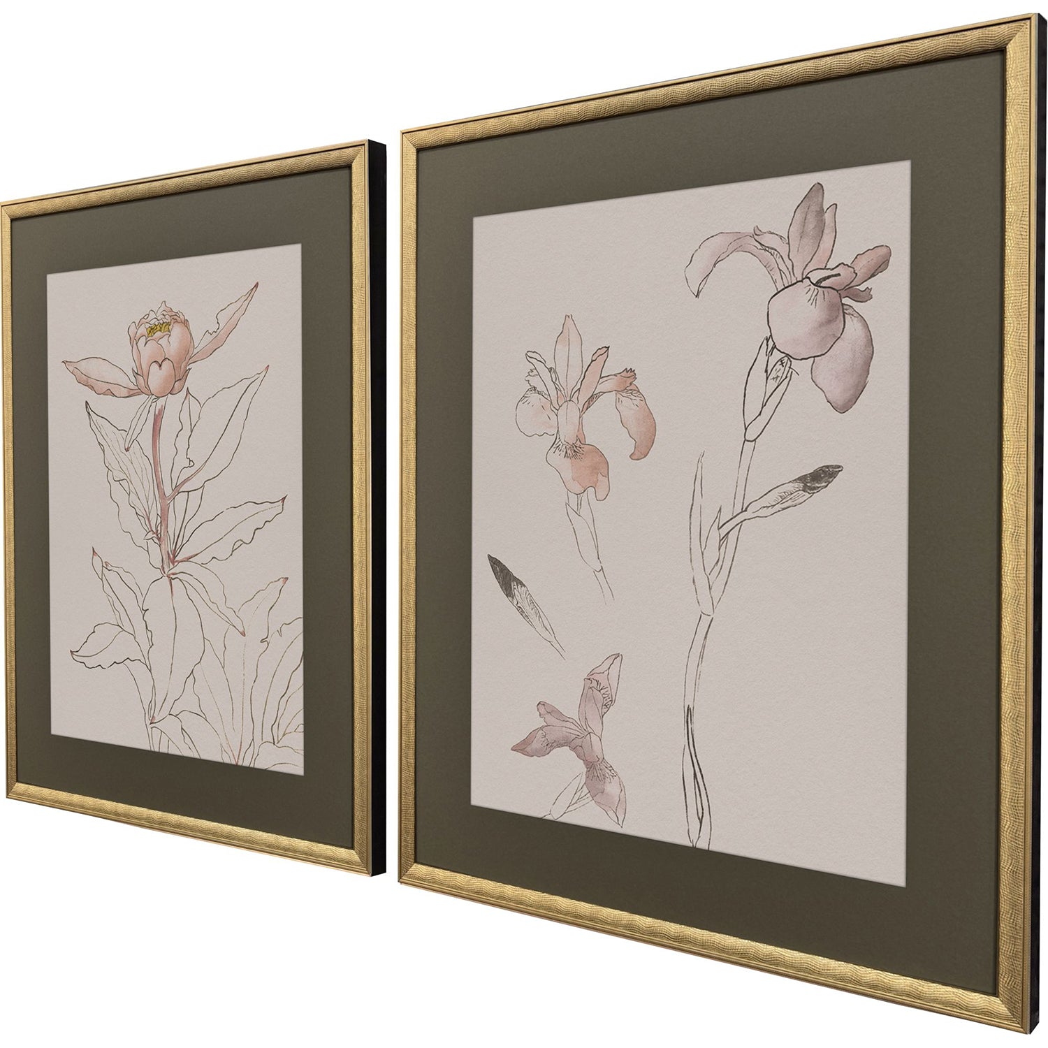 Sarah Lang Delicate Sketch II Framed Art Set of 2