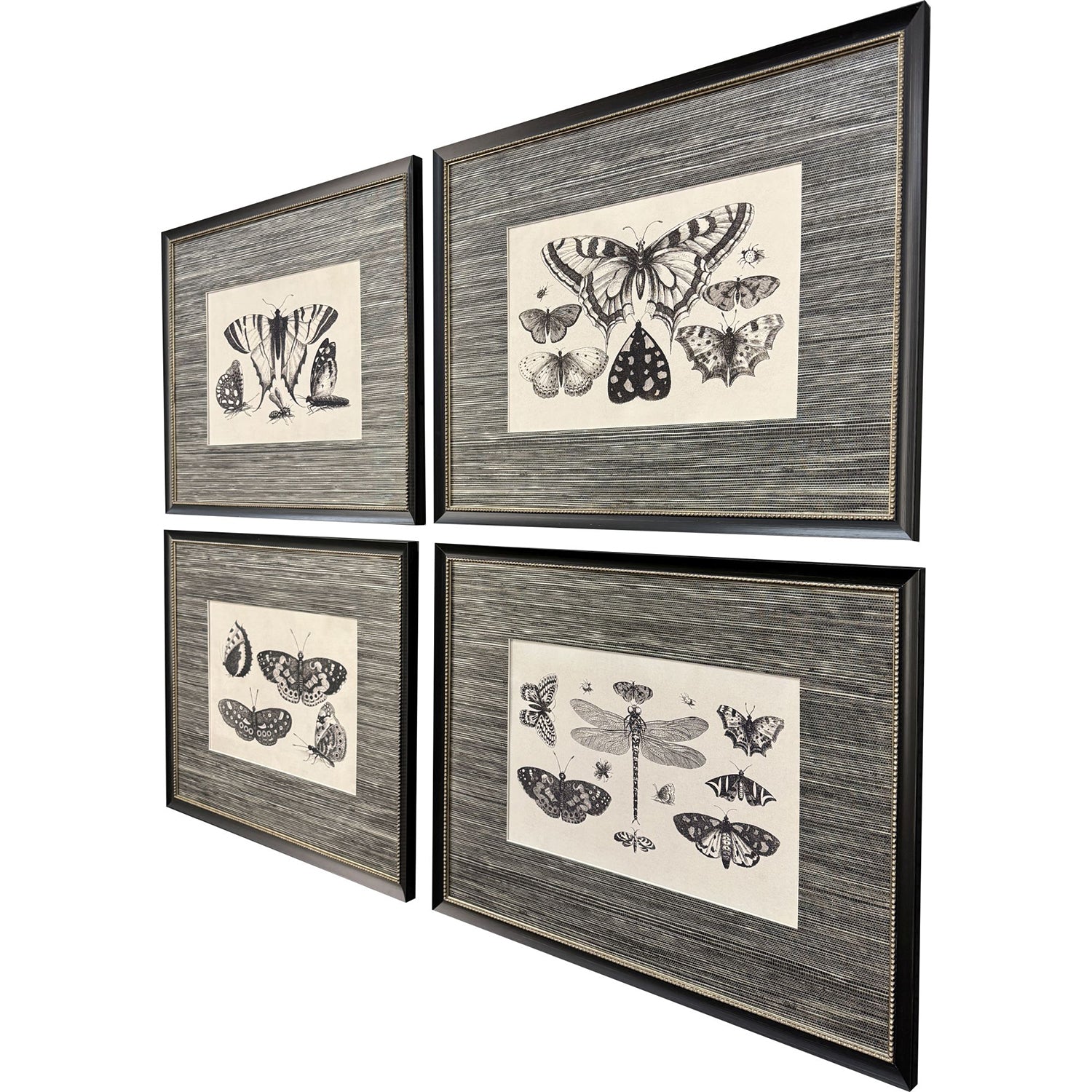Malanta Knowles Anthropod Collection Framed Art Set of 4