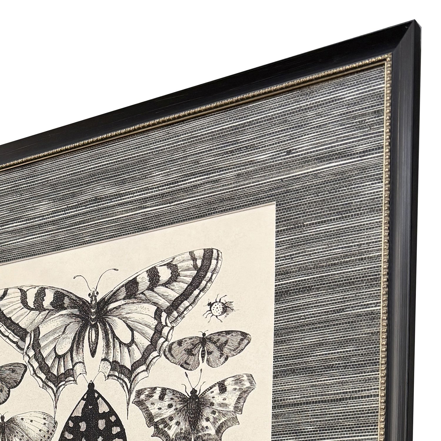 Malanta Knowles Anthropod Collection Framed Art Set of 4