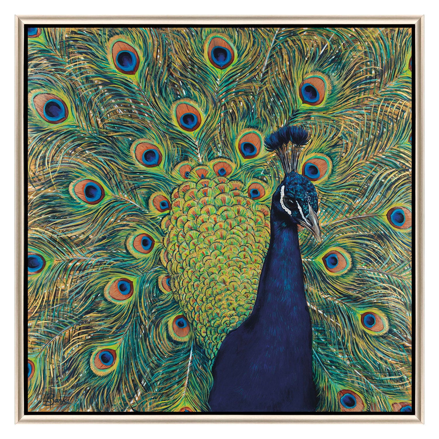 Jordan Glassco-Smith Peacock Plumage Canvas Art