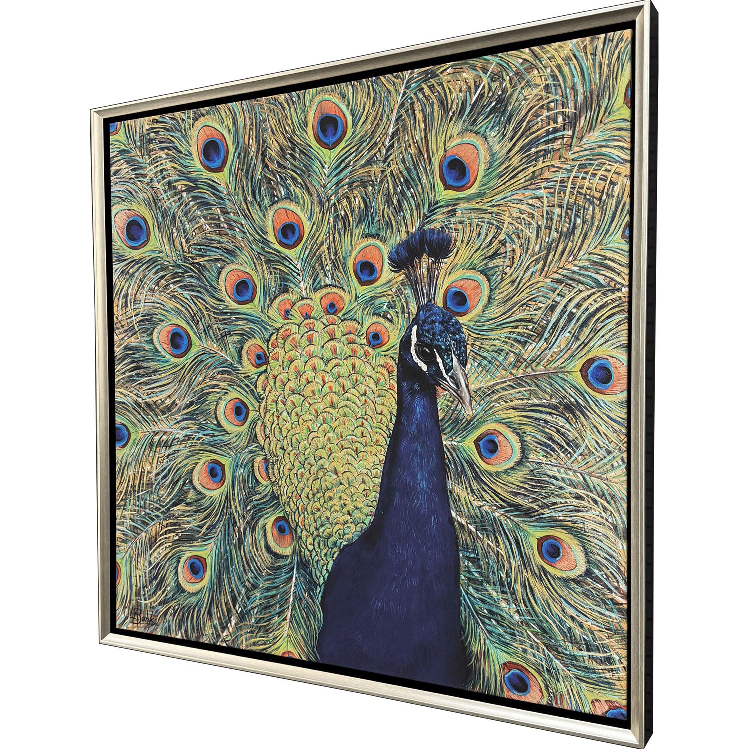 Jordan Glassco-Smith Peacock Plumage Canvas Art
