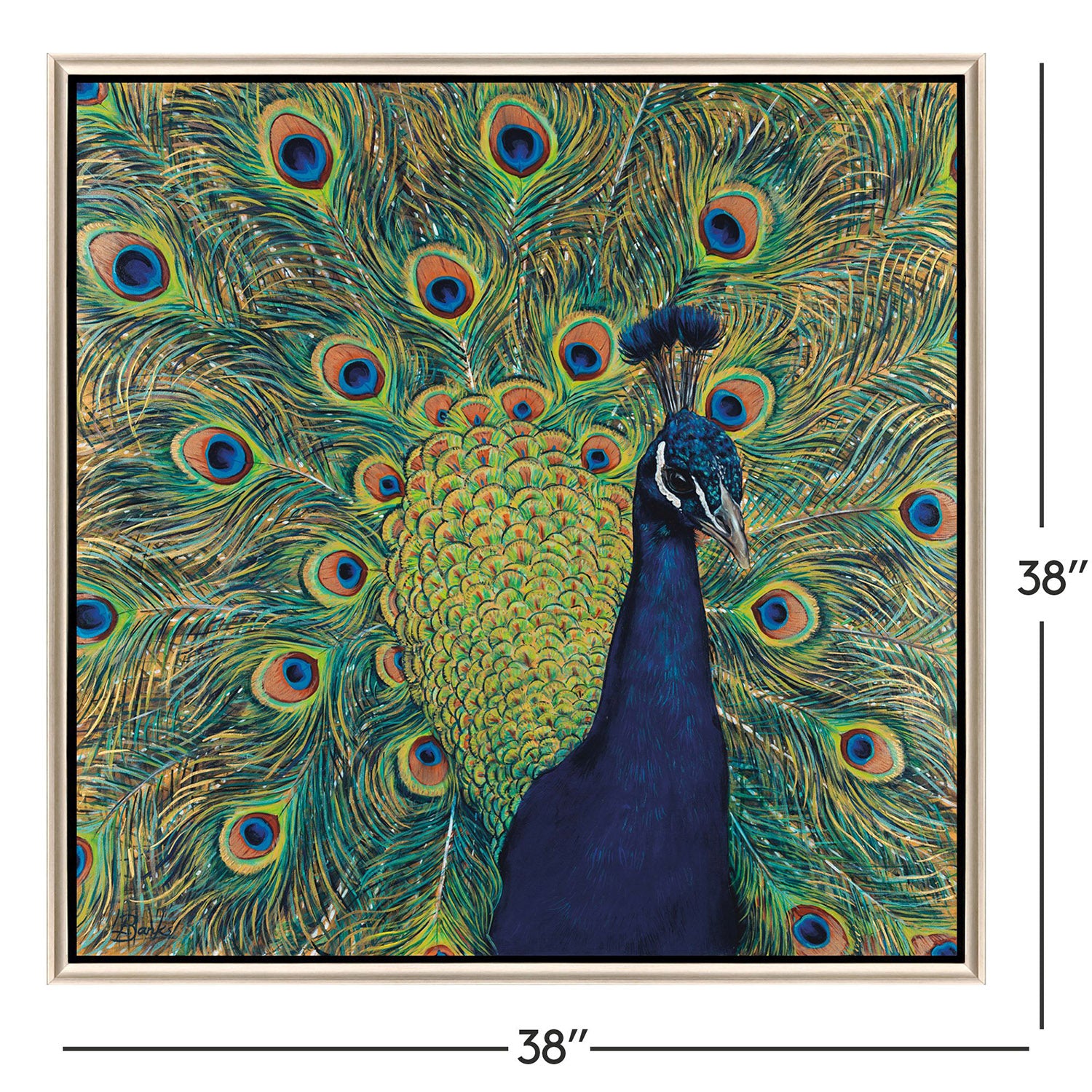 Jordan Glassco-Smith Peacock Plumage Canvas Art