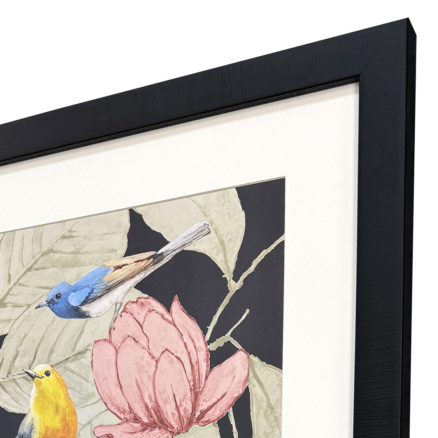 Malanta Knowles Array of Birds Framed Art