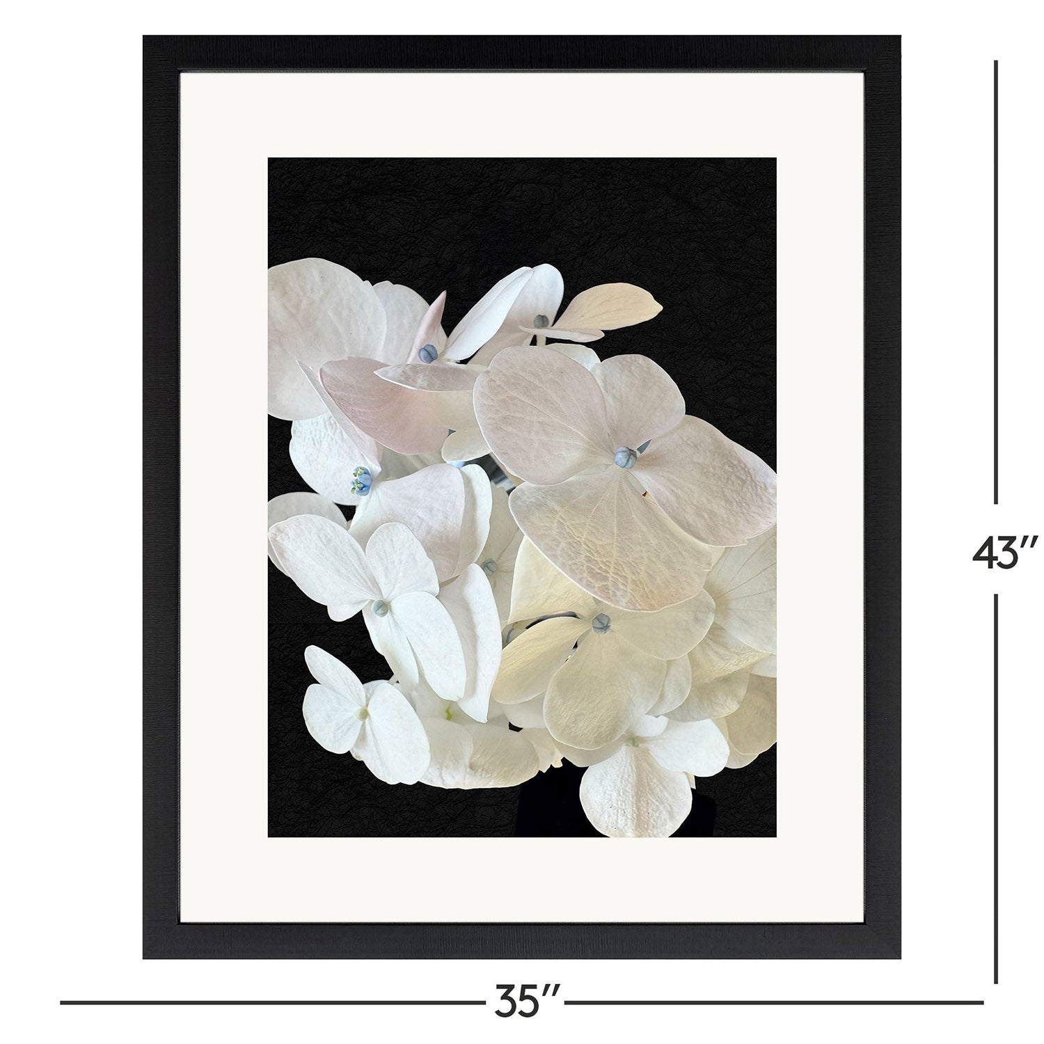 Libby Langdon Modern Hydrangea I Framed Art