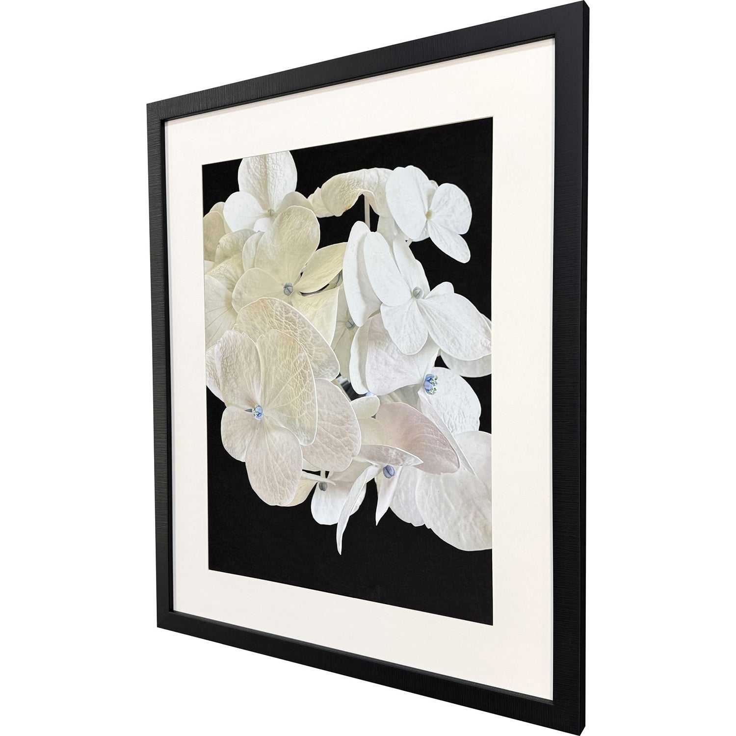 Libby Langdon Modern Hydrangea II Framed Art