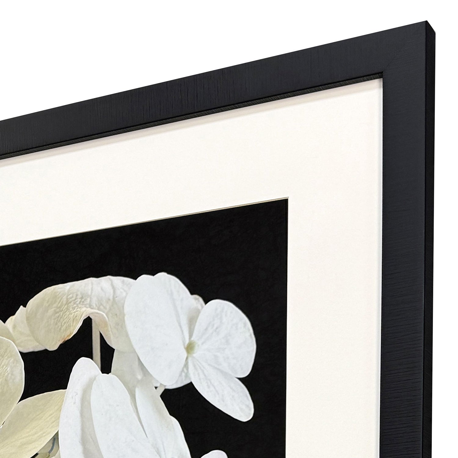 Libby Langdon Modern Hydrangea II Framed Art