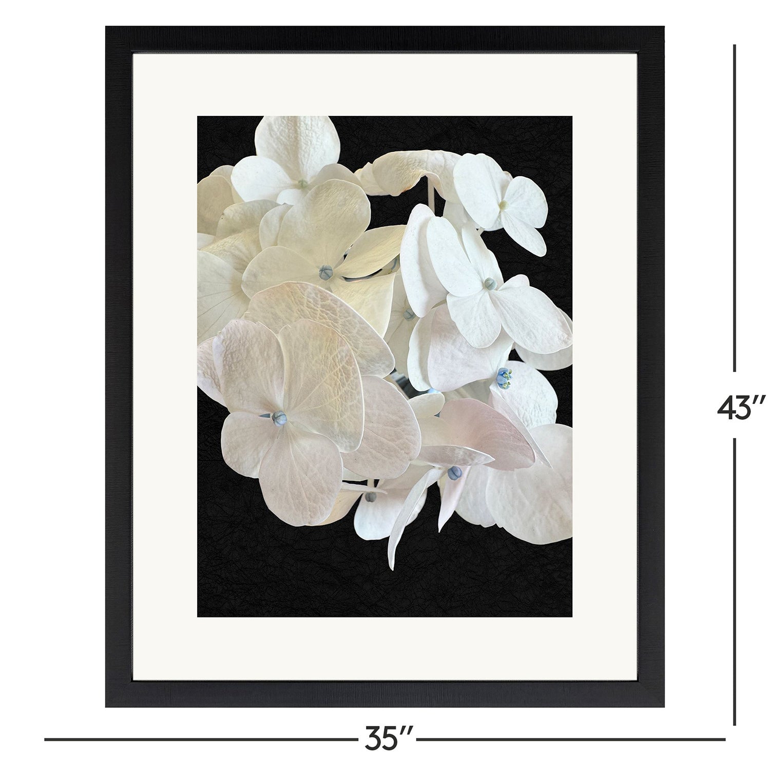 Libby Langdon Modern Hydrangea II Framed Art