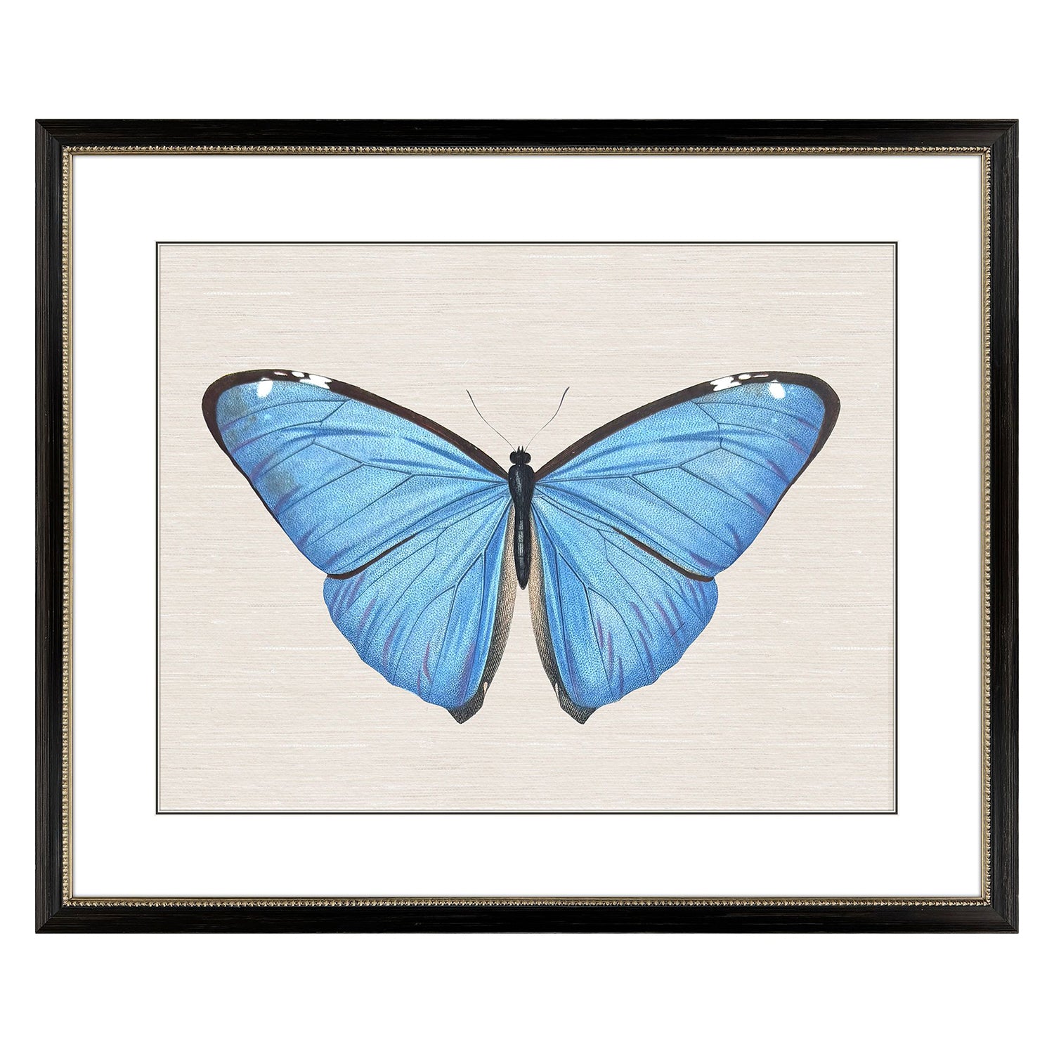 Libby Langdon Garden Visitor II Framed Art
