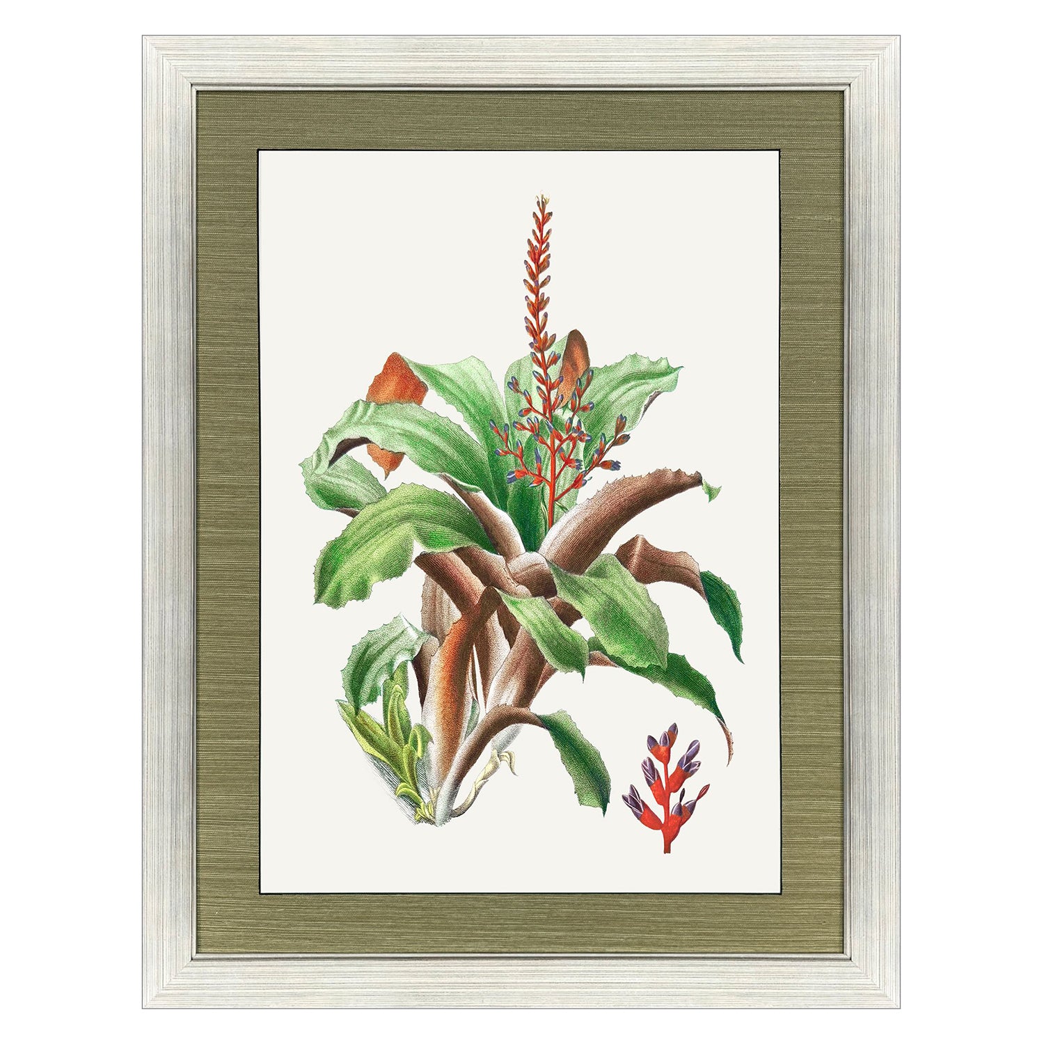 Libby Langdon Cactus Floral Framed Art