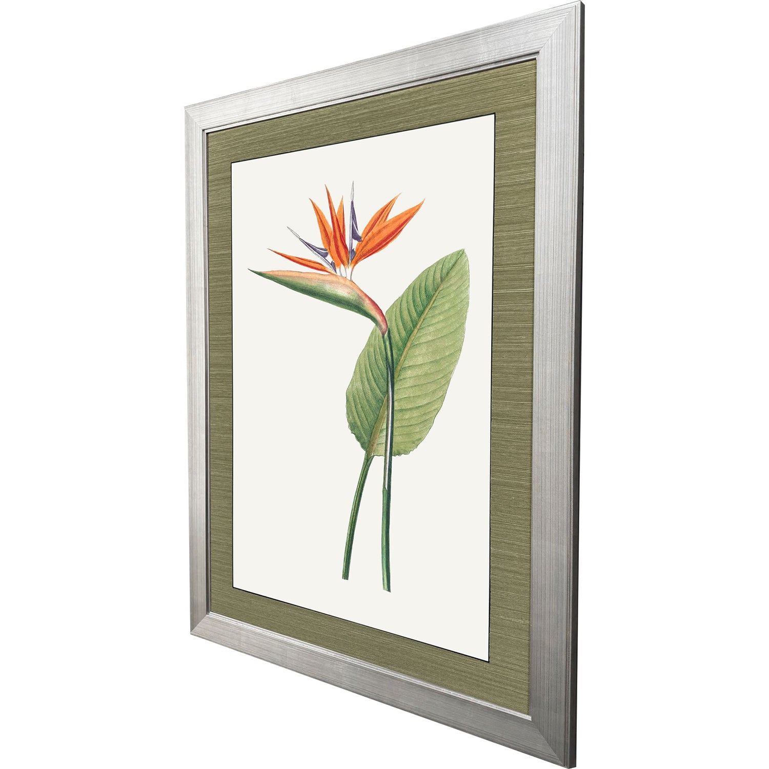 Libby Langdon Bird of Paradise Framed Art