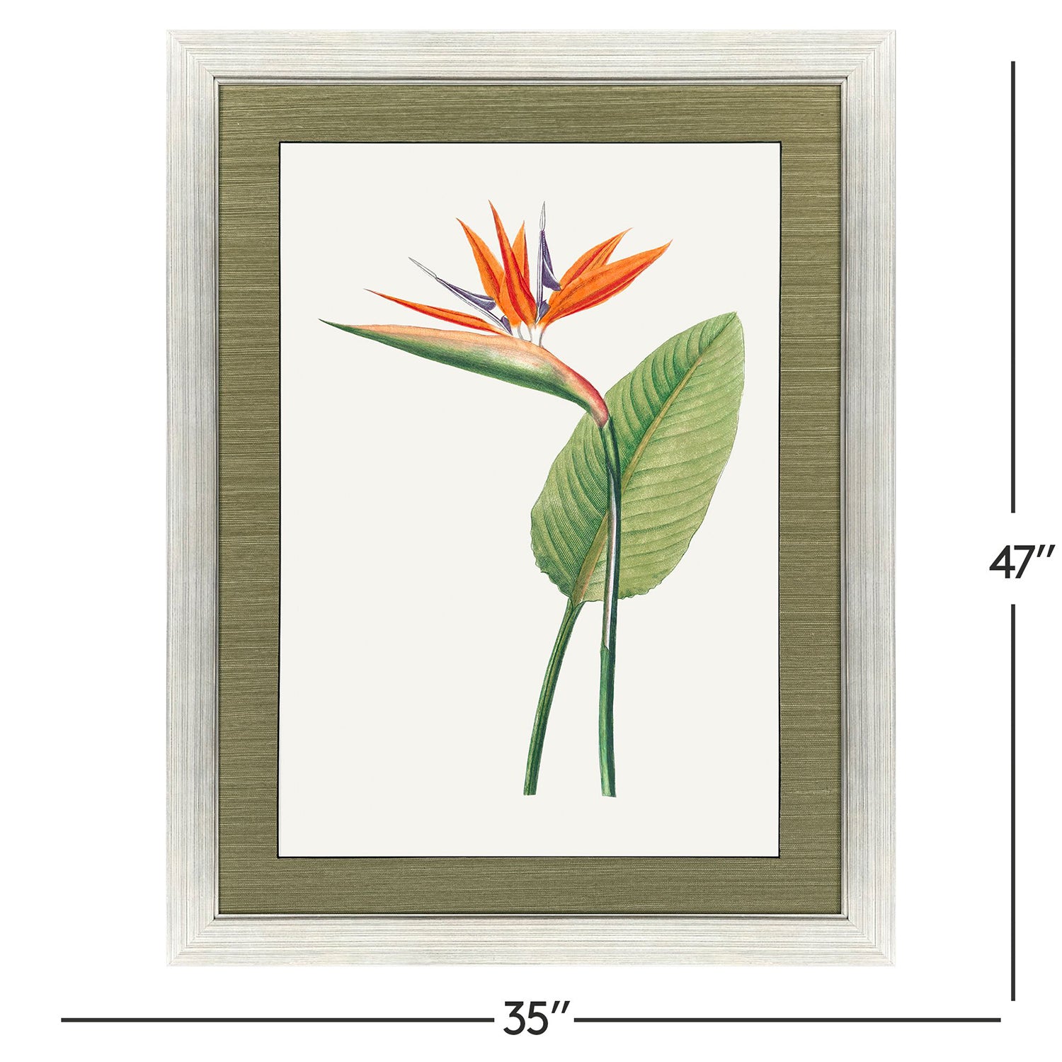 Libby Langdon Bird of Paradise Framed Art