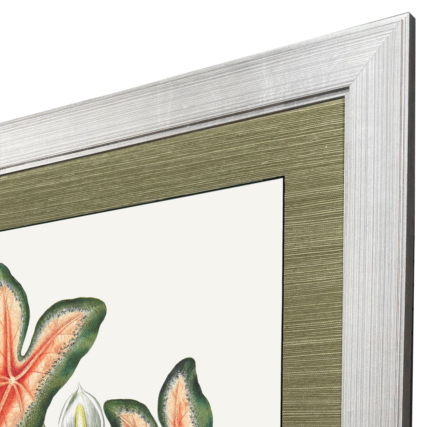 Libby Langdon Caladium Framed Art
