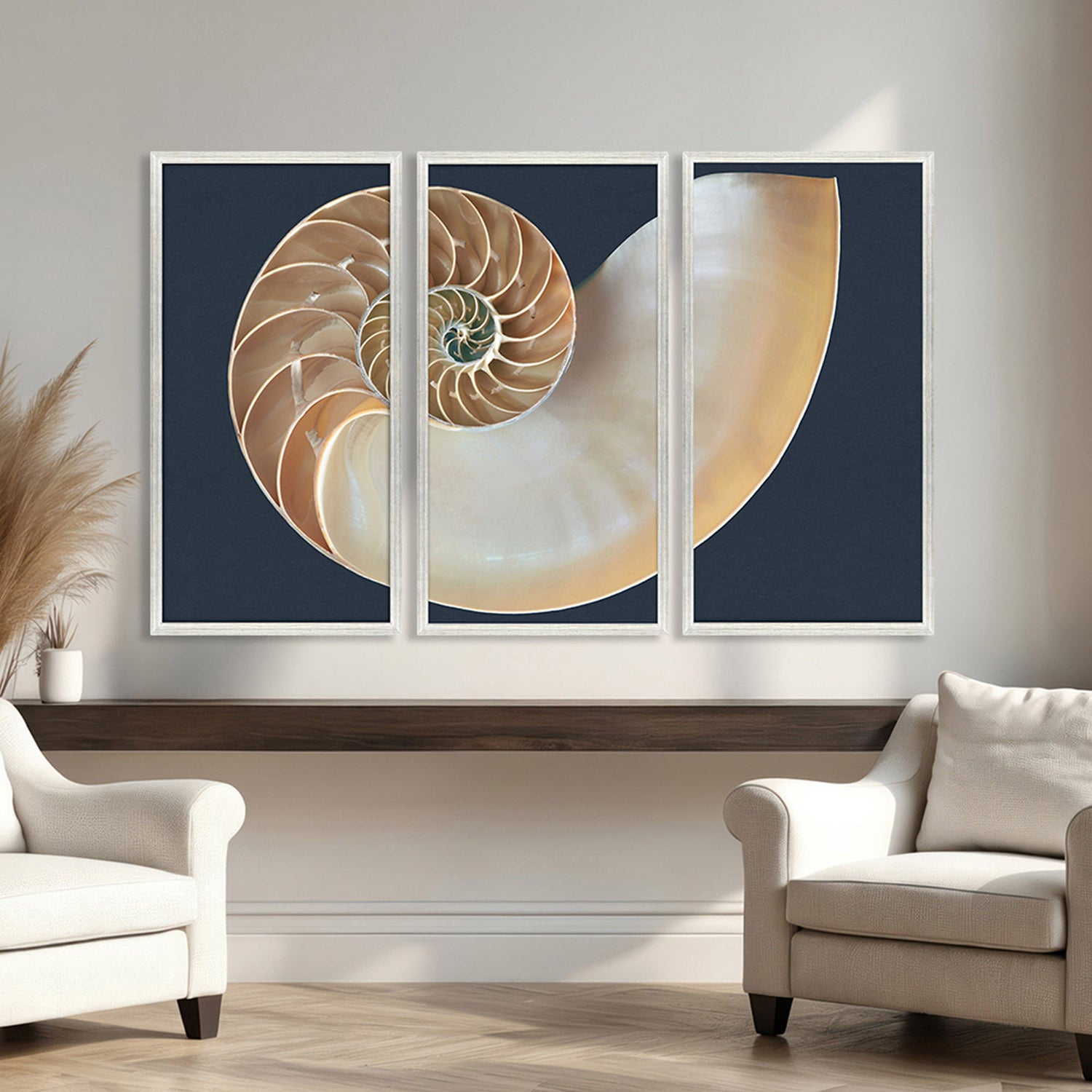 Libby Langdon Nautilus Triptych Framed Art Set of 3