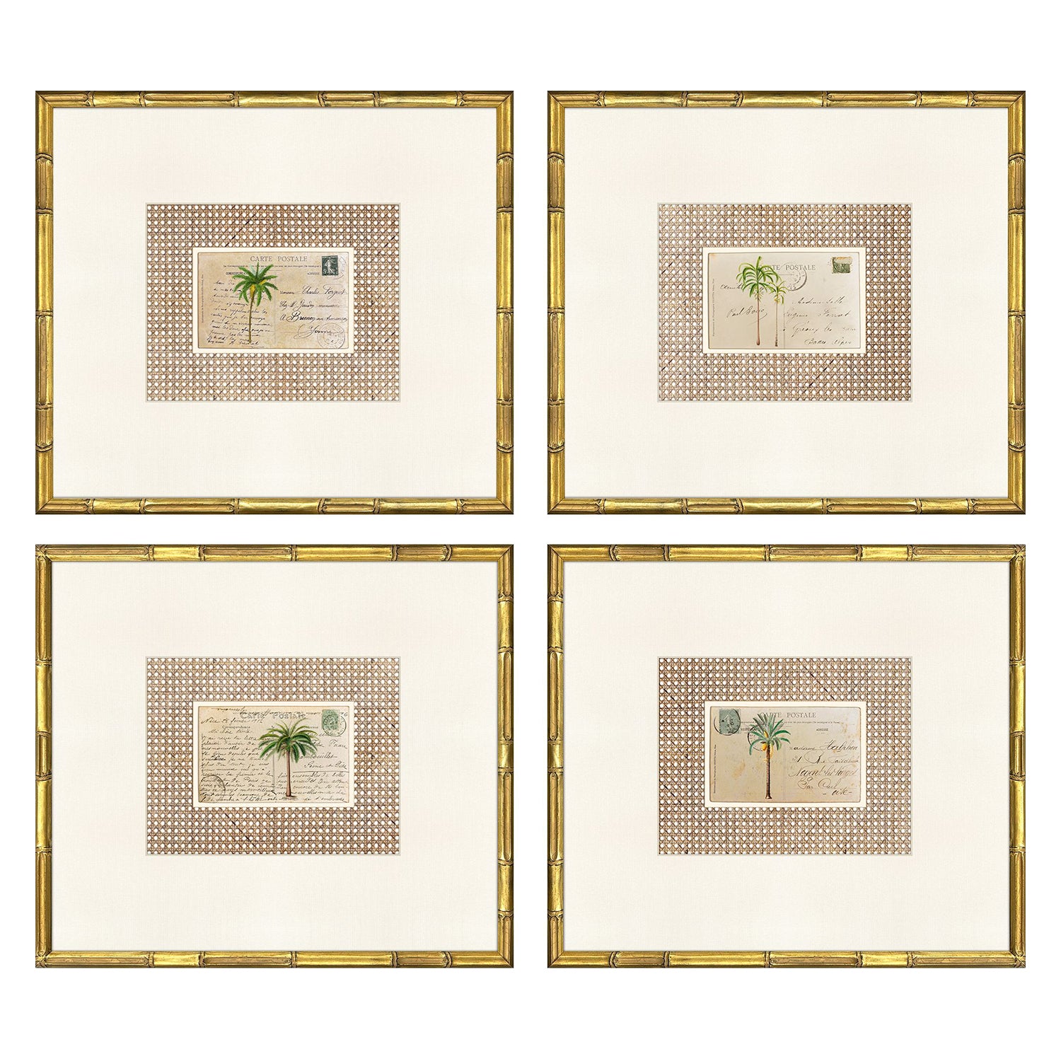 Libby Langdon Palm Postale Framed Art Set of 4