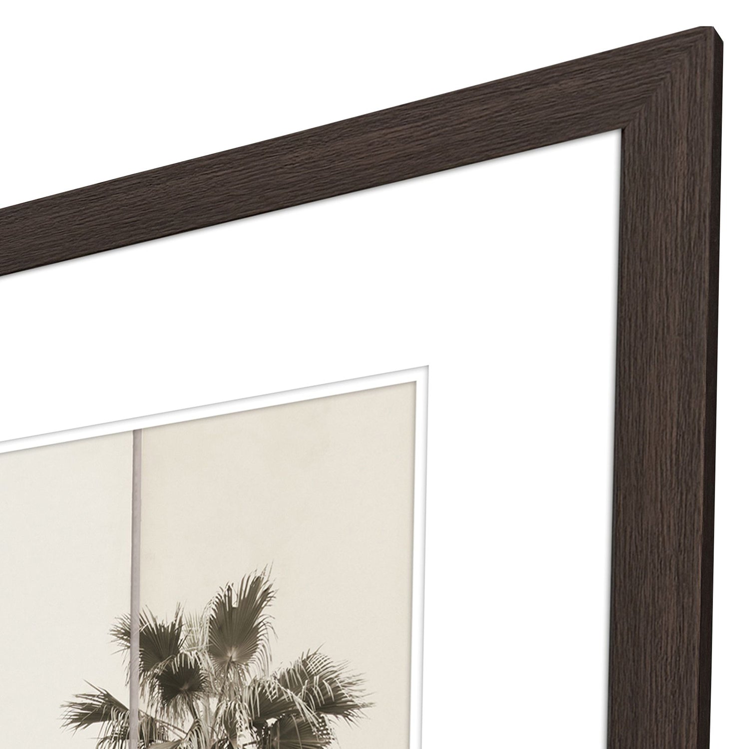 Malanta Knowles Paper Palms II Framed Art