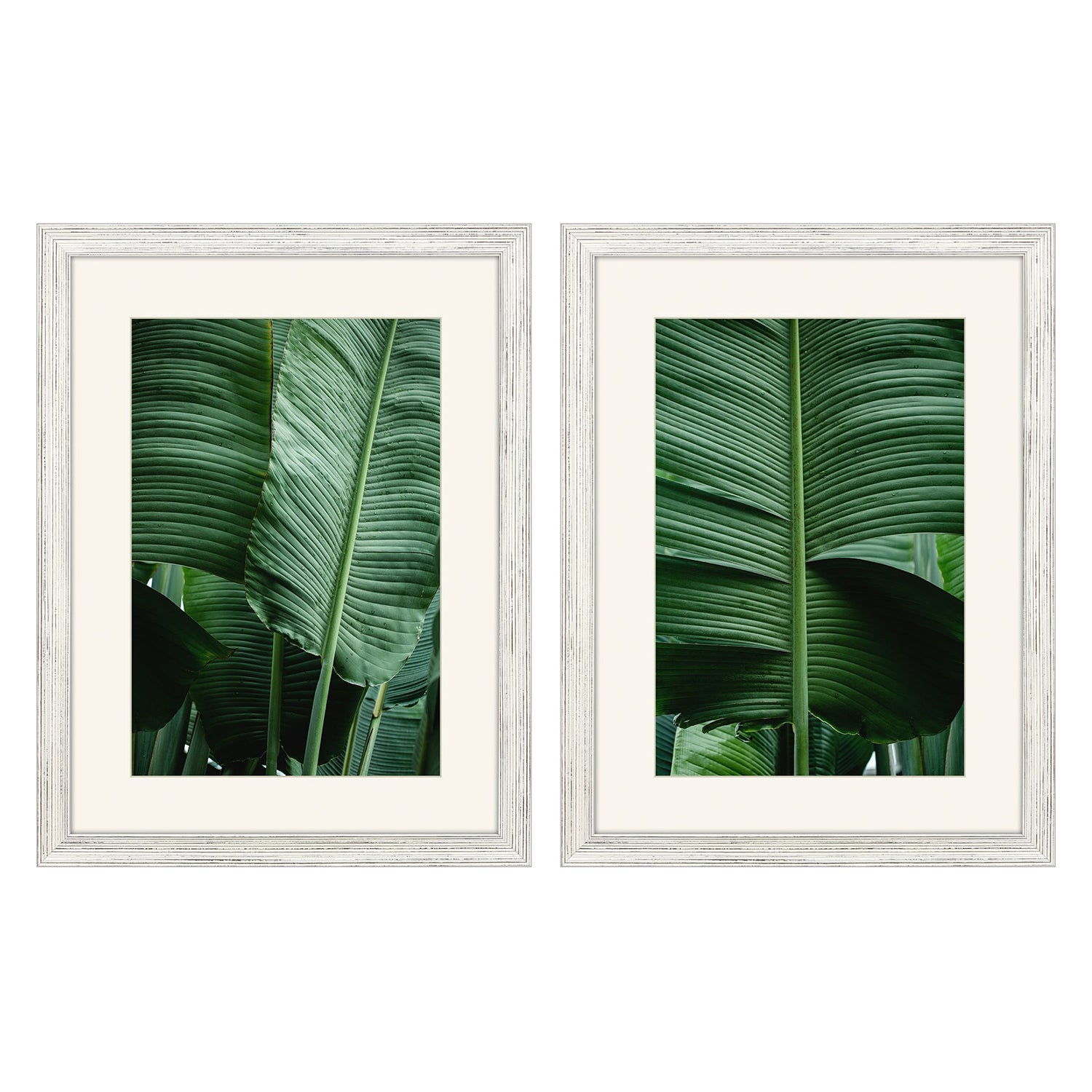 Malanta Knowles Leaf Study Framed Art Set of 2