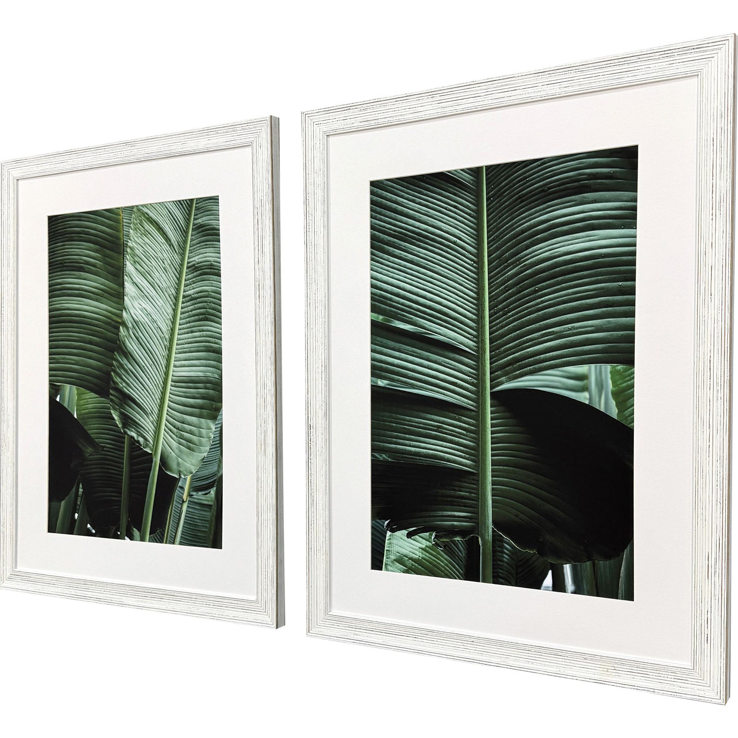 Malanta Knowles Leaf Study Framed Art Set of 2