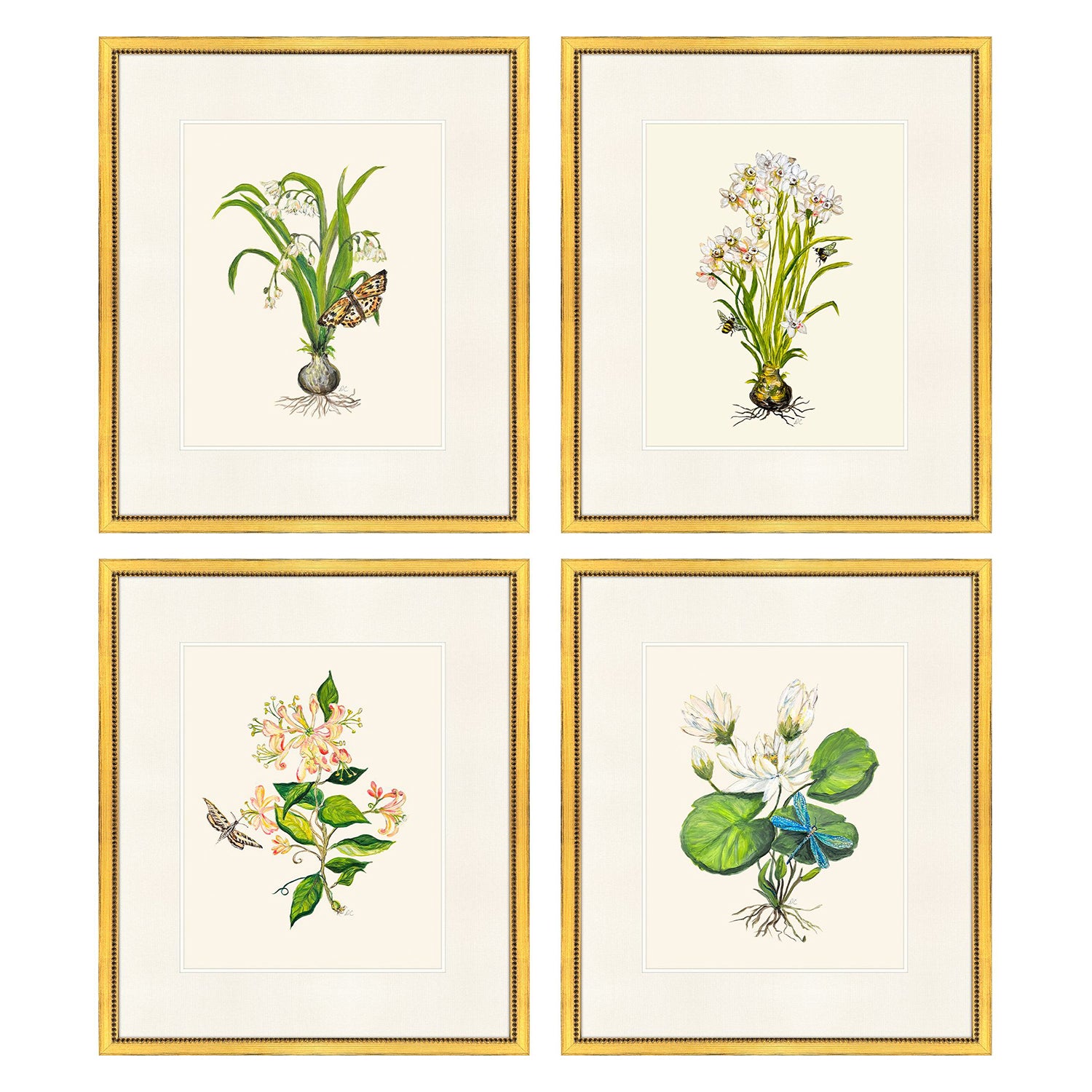 PopJoy Studio Delicate Medley I Framed Art Set of 4