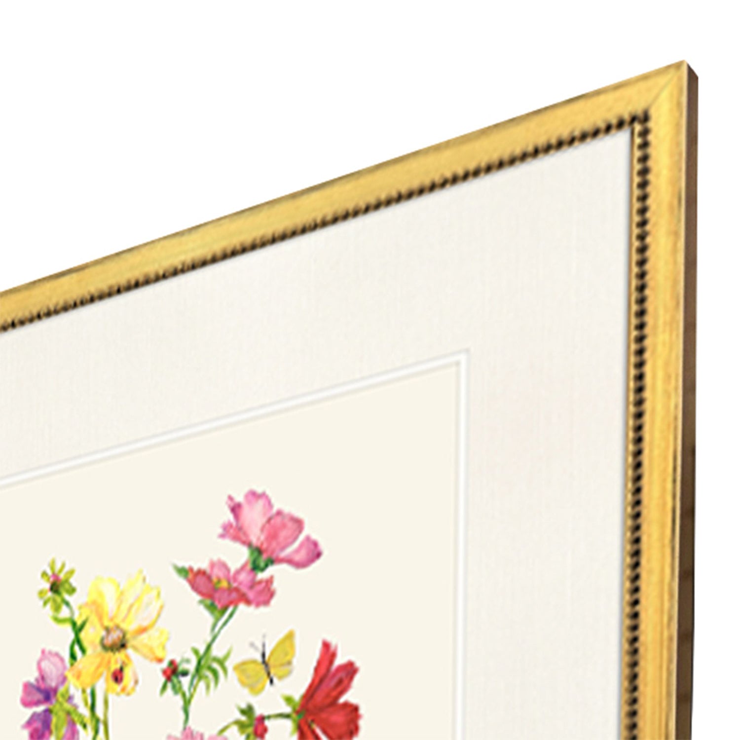PopJoy Studio Delicate Medley II Framed Art Set of 4
