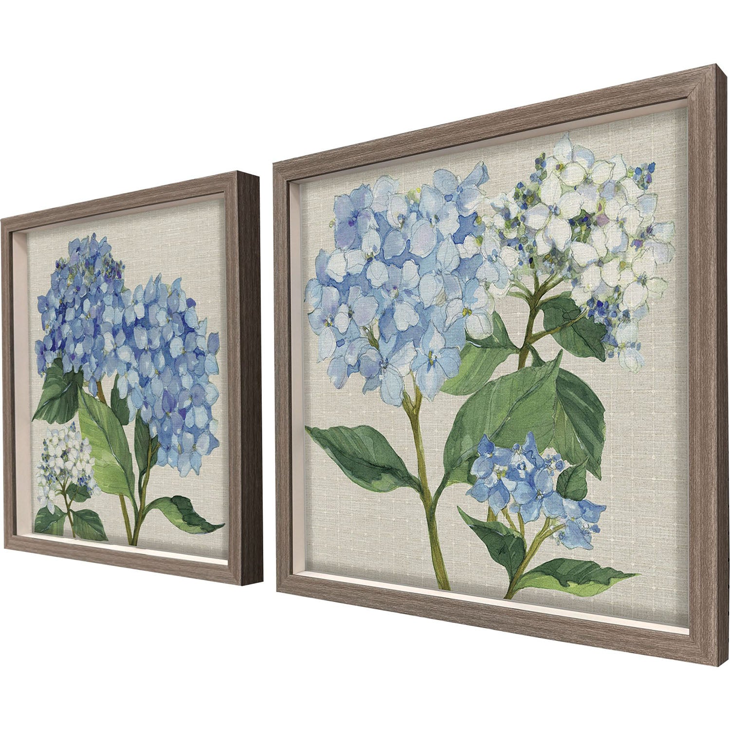Malanta Knowles Hydrangea Study Framed Art Set of 2