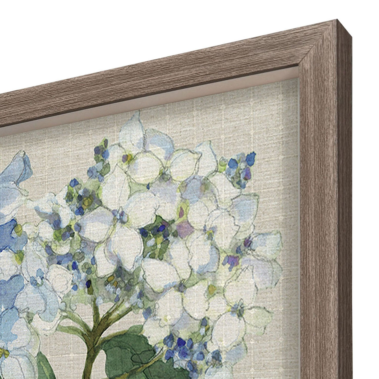 Malanta Knowles Hydrangea Study Framed Art Set of 2