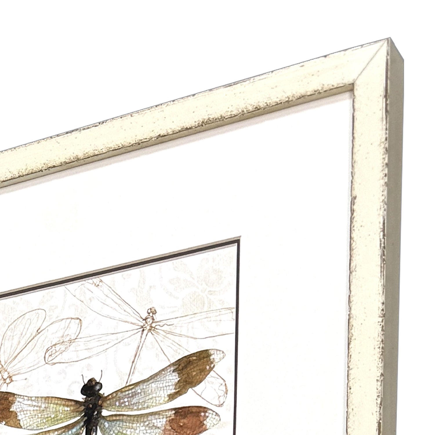 Malanta Knowles Golden Wings Framed Art Set of 4