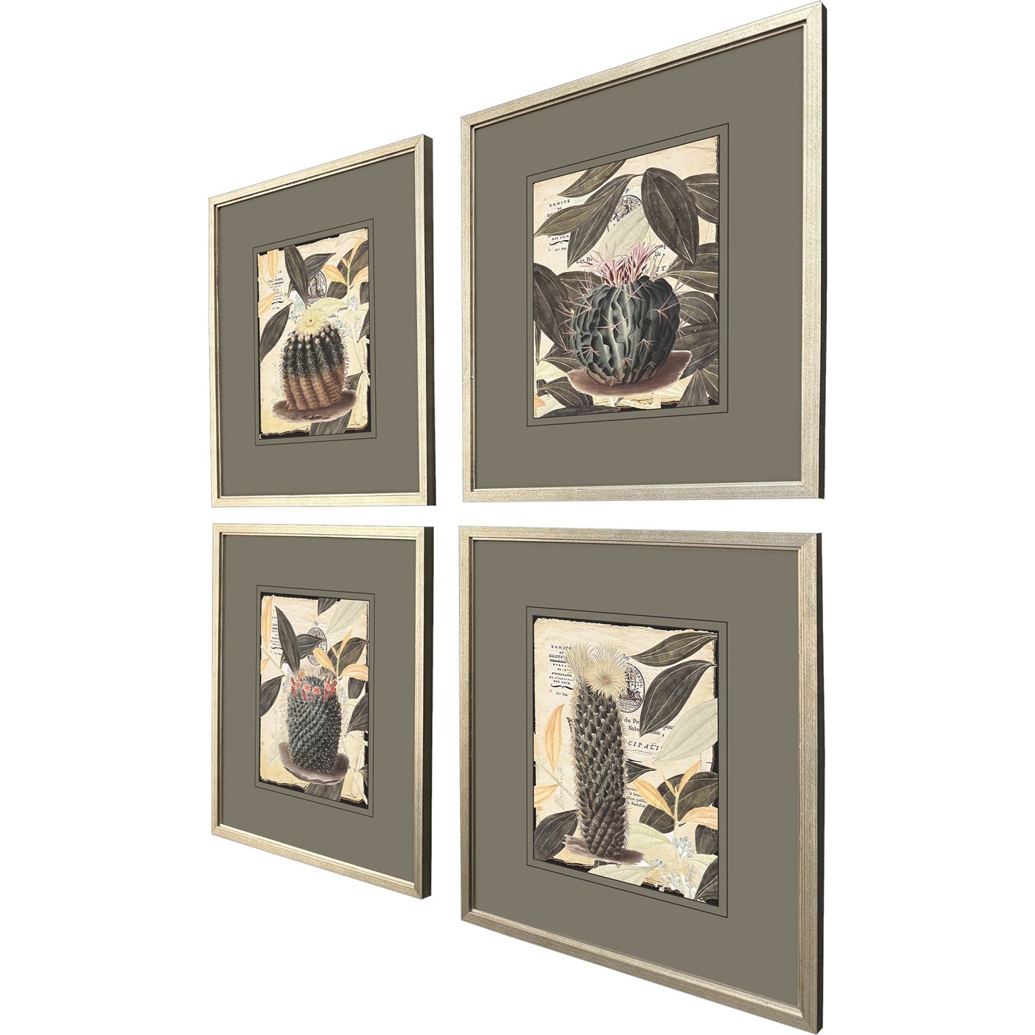Malanta Knowles Cactus Collage Framed Art Set of 4