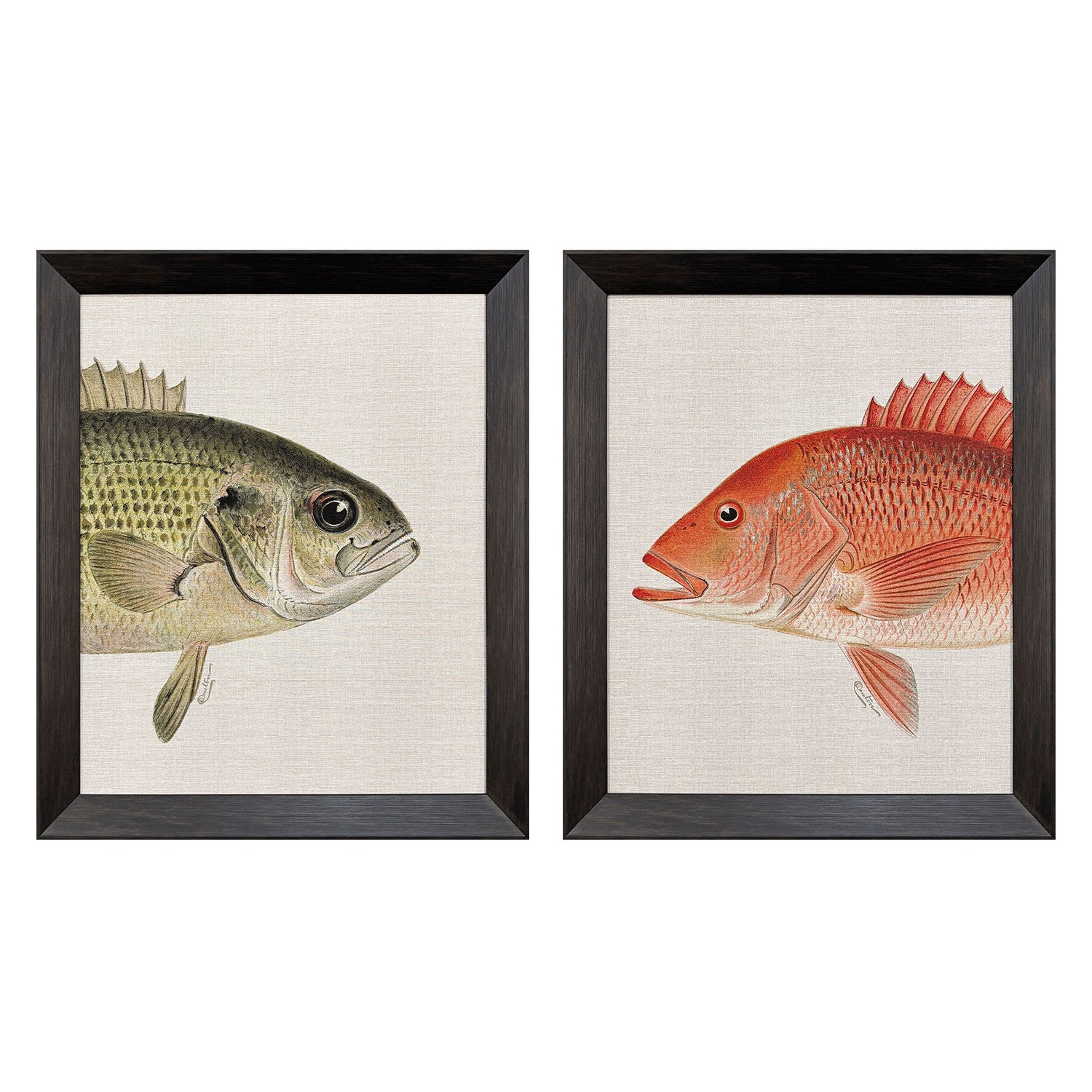 Malanta Knowles Green/Red Fish Framed Art Set of 2