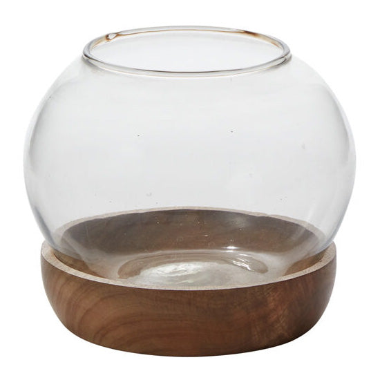 Full View Terrarium Set of 2