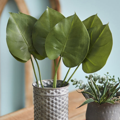 Philodendron Spray Foilage