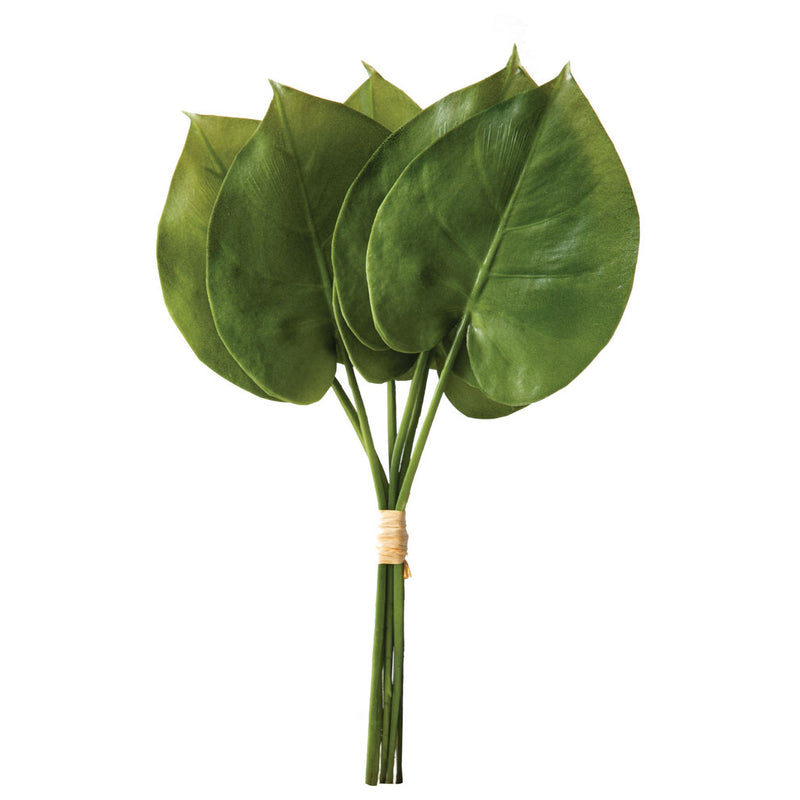 Philodendron Spray Foilage