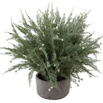 Cypress Faux Potted Plant