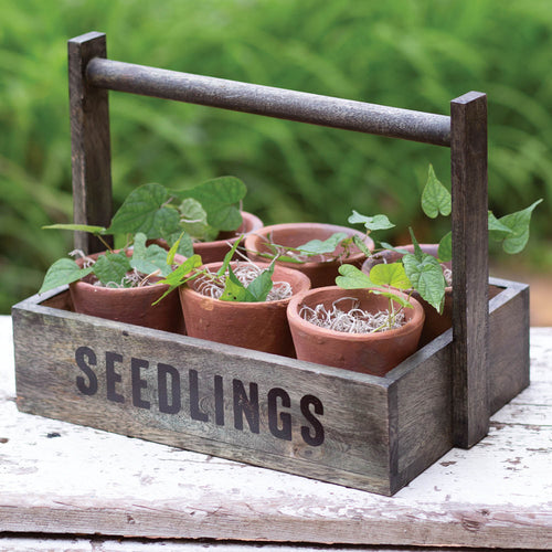 Seedling Pots Holder