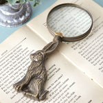 Hare Magnifying Glass