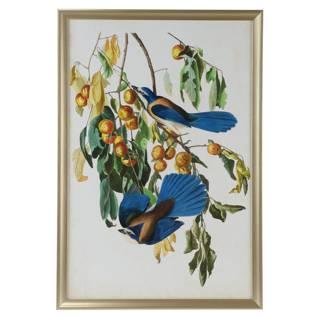 Chelsea House Audubon Blue Jay II Framed Artwork
