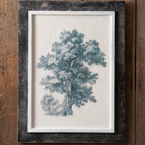 English Oak Vintage Tree Wall Art