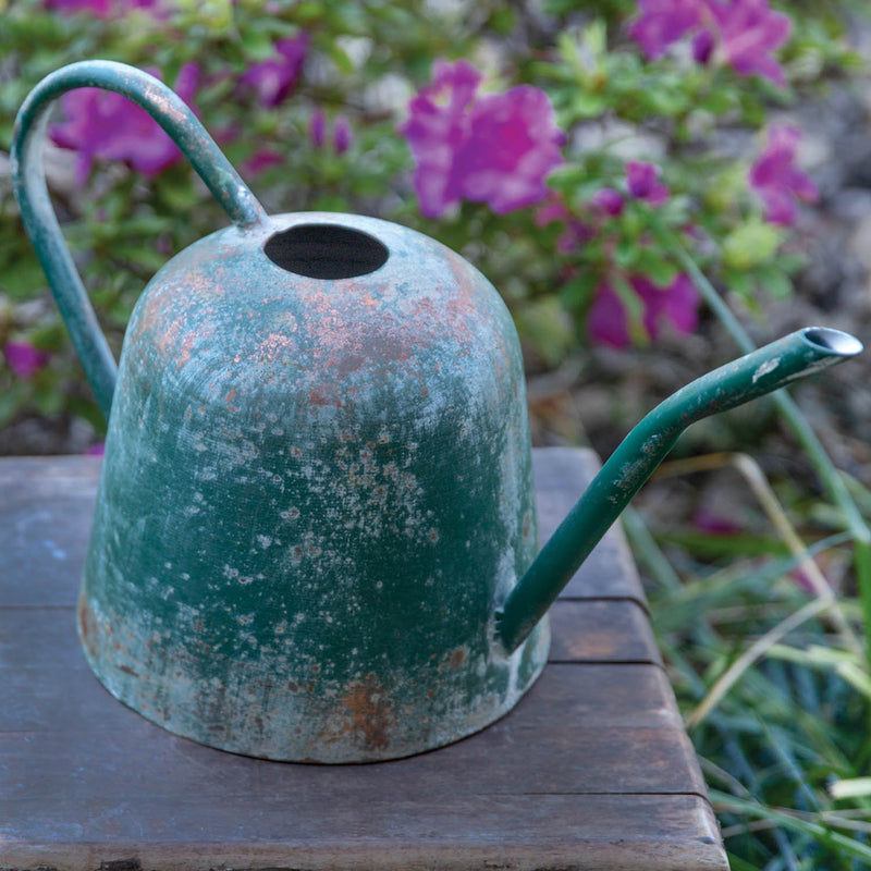 Garden Luster Watering Can