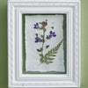 Pressed Botanical Violets Wall Art