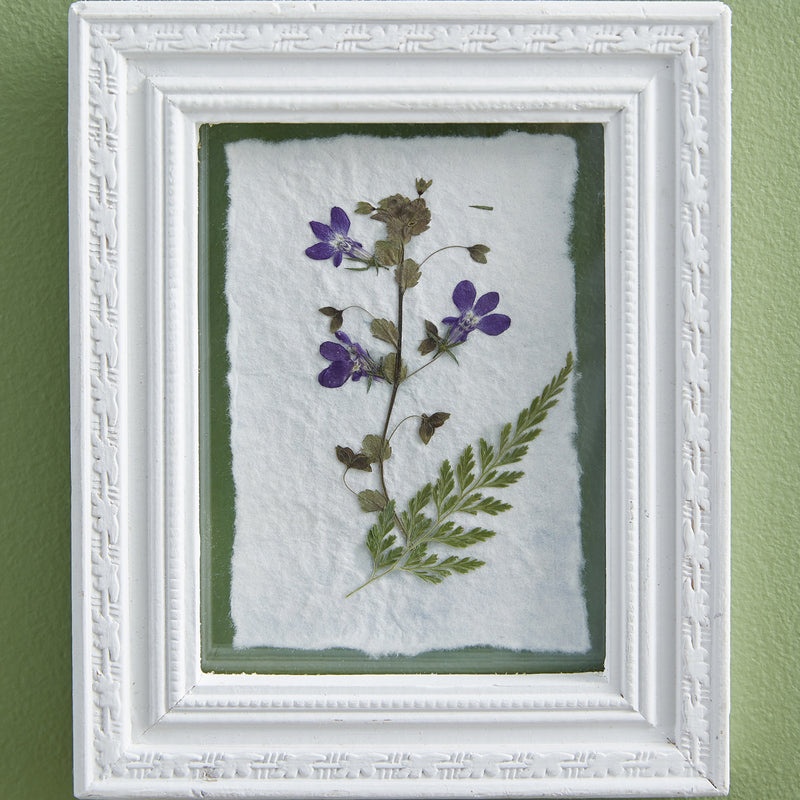 Pressed Botanical Violets Wall Art