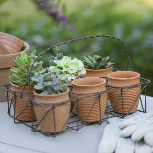 Six Miniature Terra Cotta Pots with Wire Holder