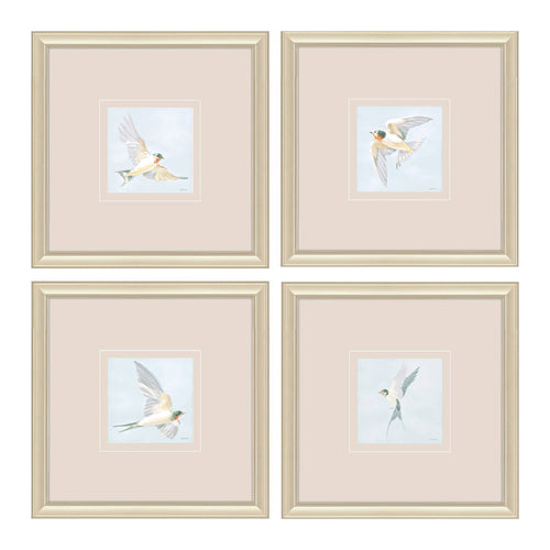 Nai Swifts Framed Art Set of 4