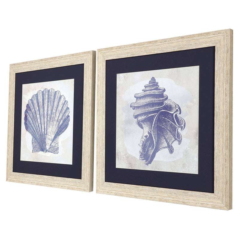 Zalewski Coastal Sea Shell Framed Art Set of 2