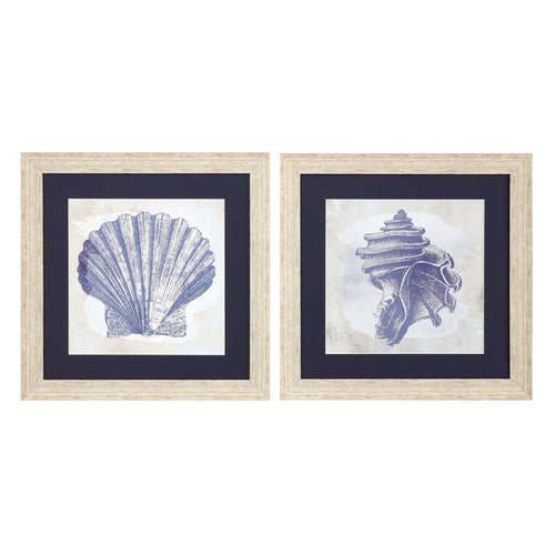Zalewski Coastal Sea Shell Framed Art Set of 2