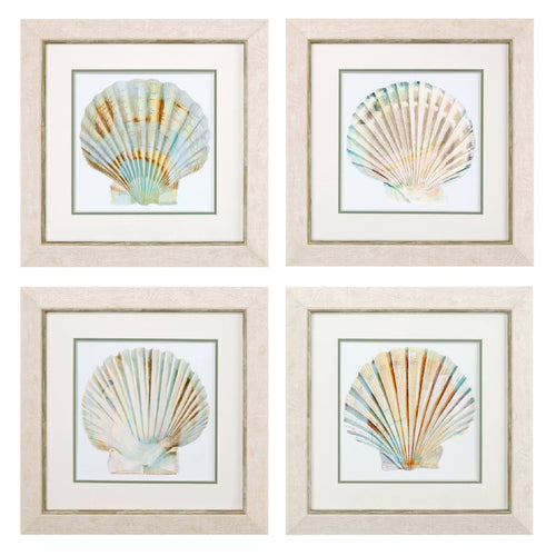 Sea Shell Framed Art Set of 4